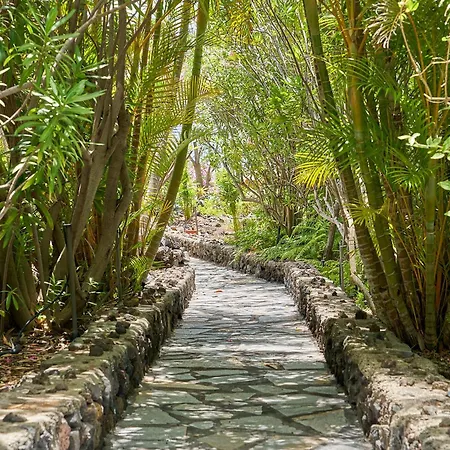 Finca Del Sur Holiday home *