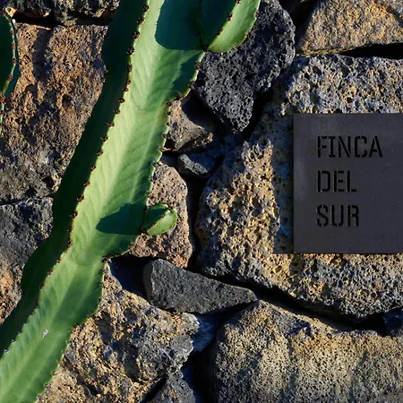 Finca Del Sur * Las Indias